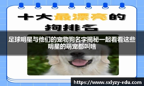 银河集团官网